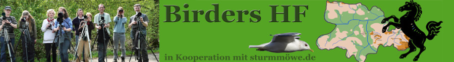 Birders HF Jahresliste NRW 2021 Edition